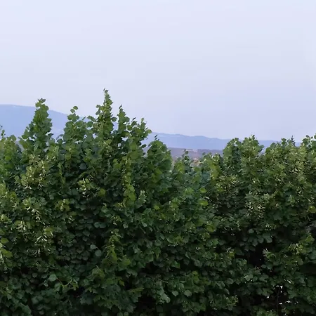 Hébergement de vacances Design En Drôme Provençale *